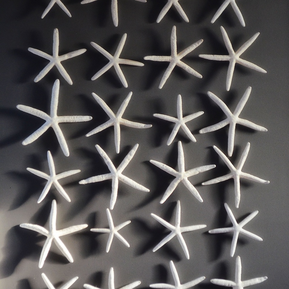 Meet your Posher, Snazzberry